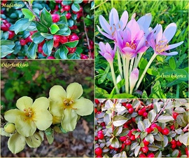 Egy kis színorgia még szeptemberből... :)