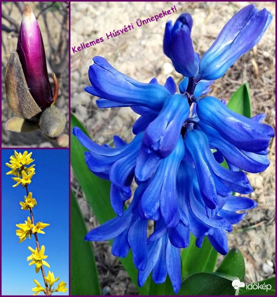 Kellemes Húsvéti Ünnepeket kívánok Mindenkinek! :)