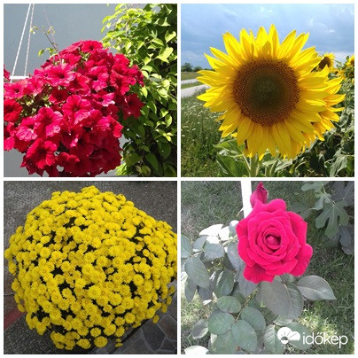 Egy kis visszatekintés... :)