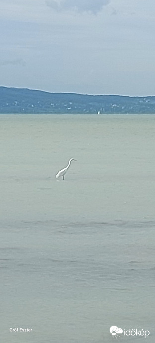 Ordacsehi