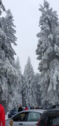 Pécel