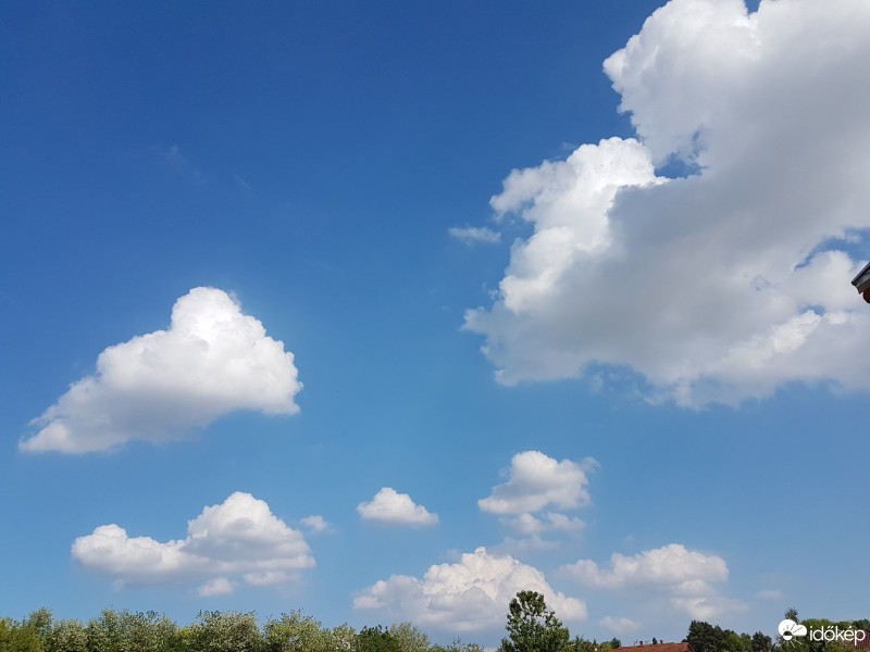 Olasz