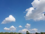 Olasz