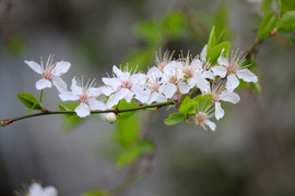 evacsilla fotója