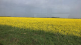 Kétegyháza
