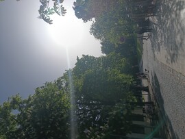 Balatonfüred