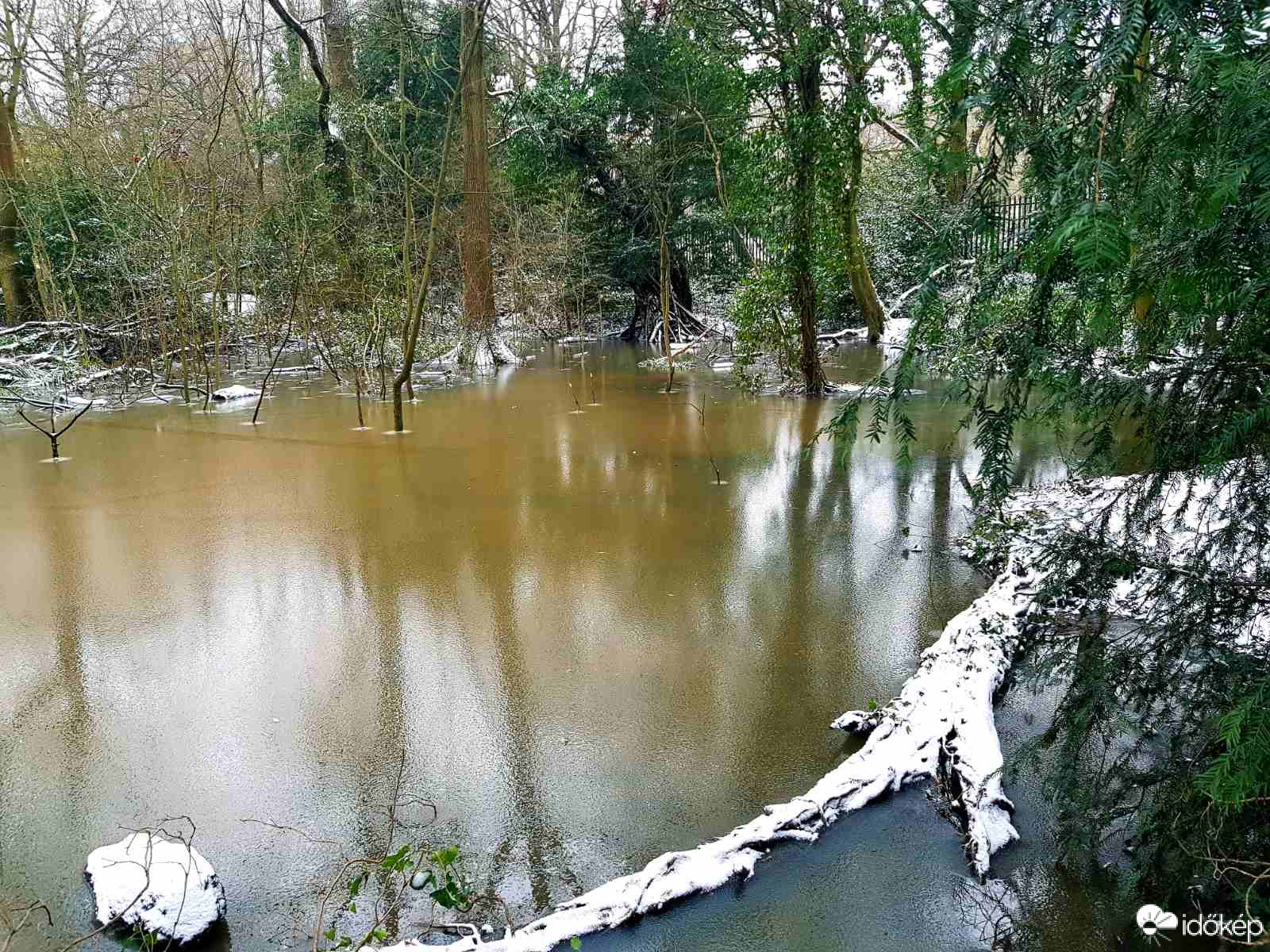 Erdei folyó
