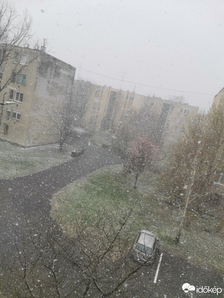Kalocsa
