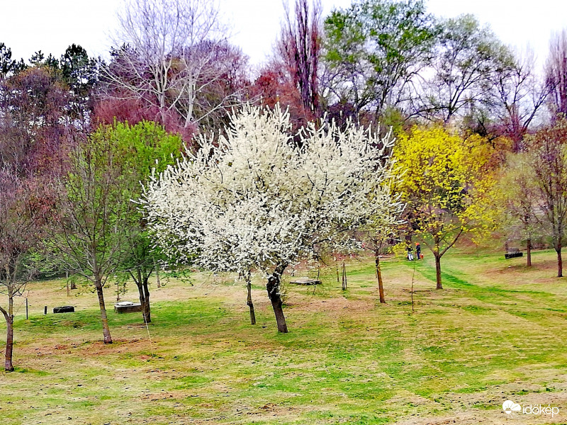 Tavaszi panoráma