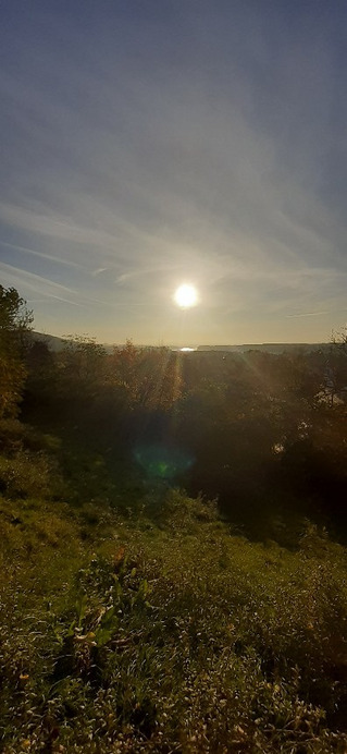 Verőce