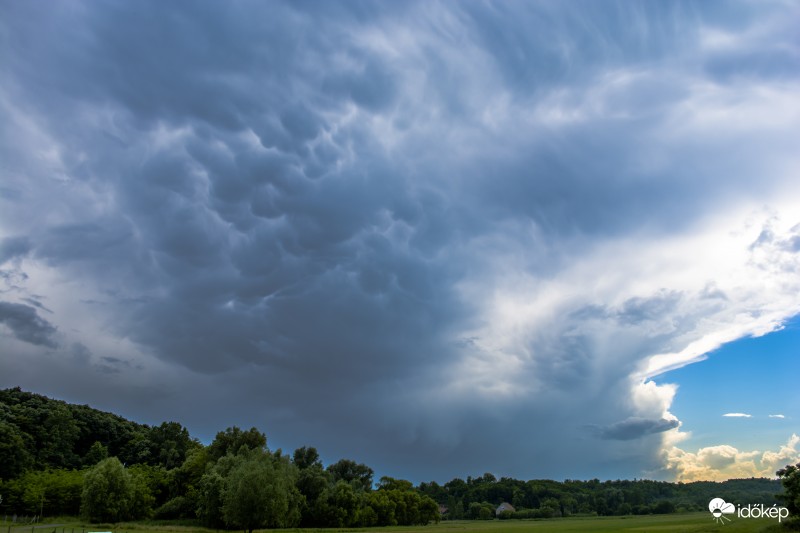 Mammatus
