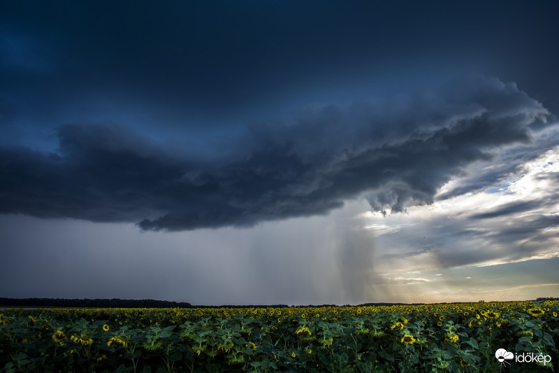 ThunderStorm