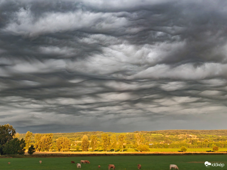 Ma reggeli undulatus asperatus a Balaton mellett