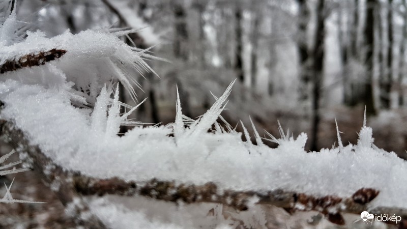 Zúzmara a Kőszegi hegységben 2016.12.22