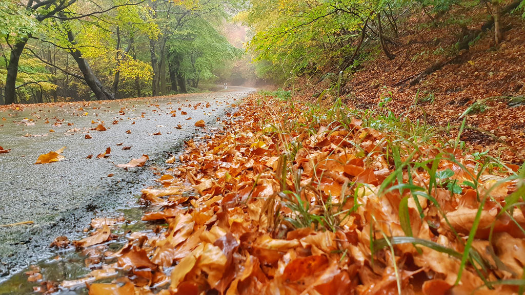 Kőszegi hegység 2018.10.24.