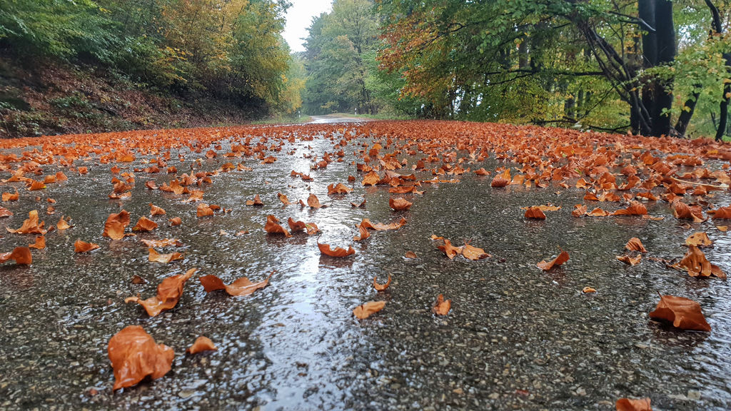 Kőszegi hegység 2018.10.24.