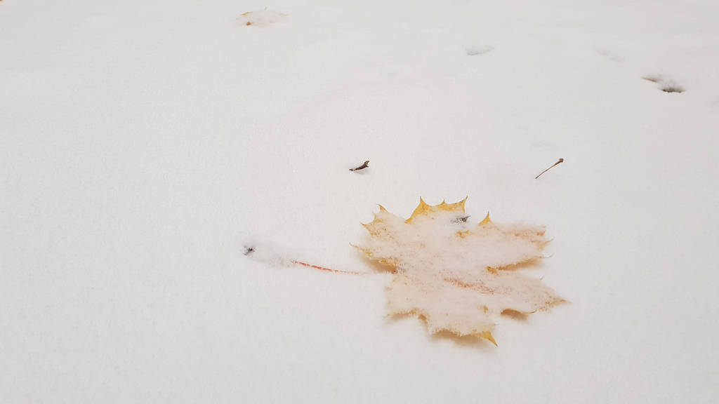 Kőszegi hegység 2018.11.19.