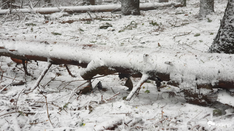 Írott-kő, Kőszeg 2019.05.05.