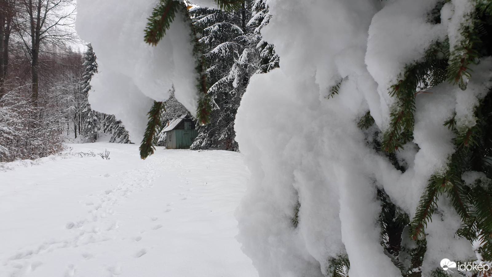 Kőszegi hegység 2020.12.10. Hóvastagság 20 cm