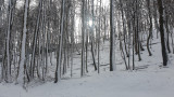 Kőszegi hegység 2021.01.24.. Hóvastagság 12cm
