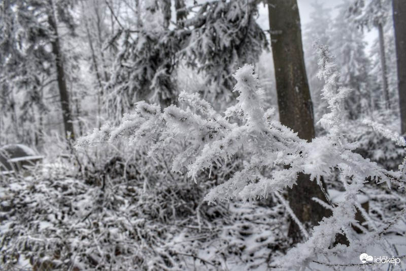 Írott-kő Kőszeg 2017.02.11. 