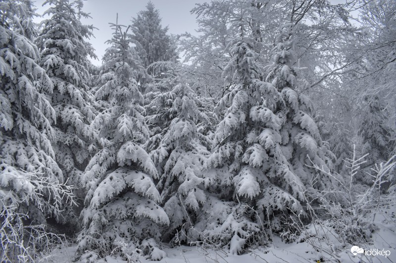 Havas, zúzmarás táj az Írott-kőről 2017.02.11.