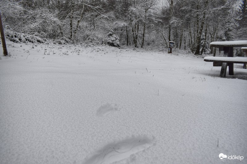 Írott-kő Kőszeg 2017.03.01. Hóvastagság átlagosan 5-10 cm Friss reggeli képek a helyszínről.