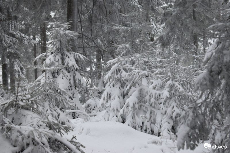 Írott-kő 2017.04.20. Hóvastagság átlagosan 30 cm. A viharos szél hordja a havat, vannak részek ahol több mint fél méteres hótorlaszok vannak.