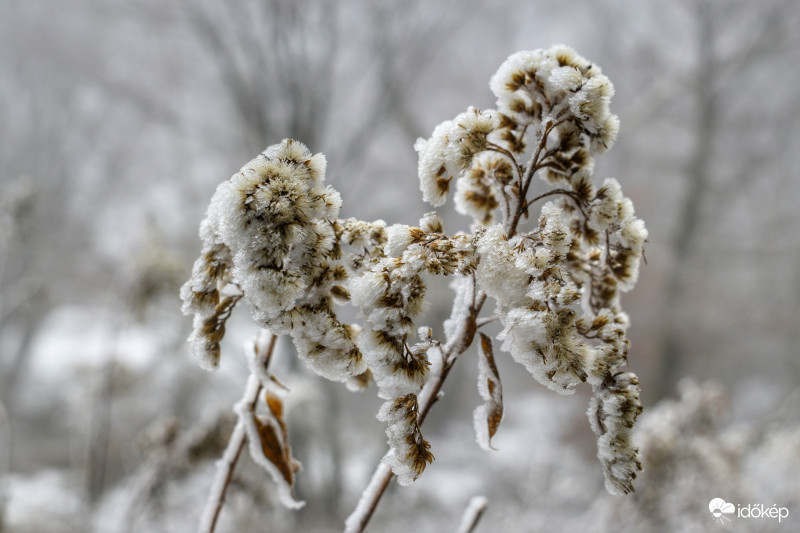 Kőszegi-hegység 2018.01.27.