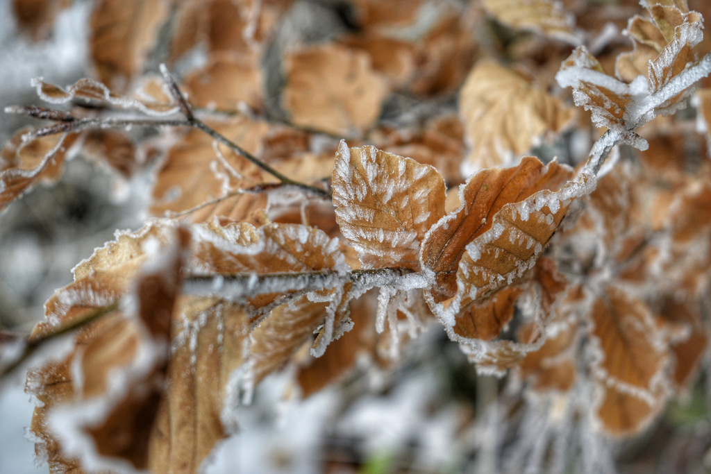 Kőszegi-hegység 2018.01.27.