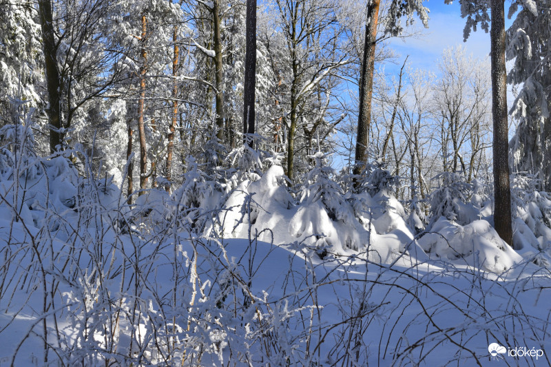 Írott-kő Kőszeg 2018.02.24.