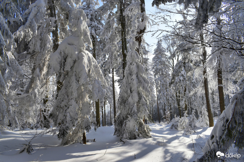 Írott-kő Kőszeg 2018.02.24.