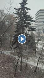 Miskolc