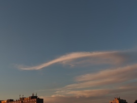 Pihe puha