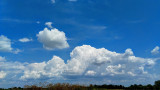 Rákóczifalva