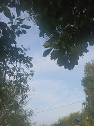 Őrbottyán