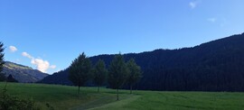 Reith bei Kitzbühel