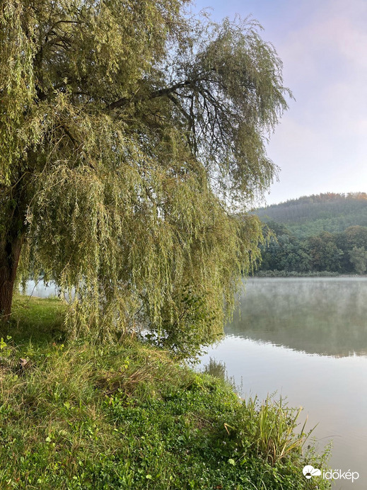 Nőtincs