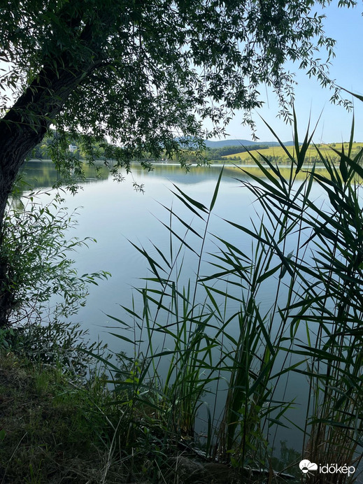 Nőtincs