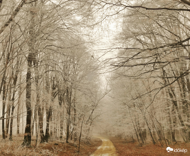 Mindig a sárga úton