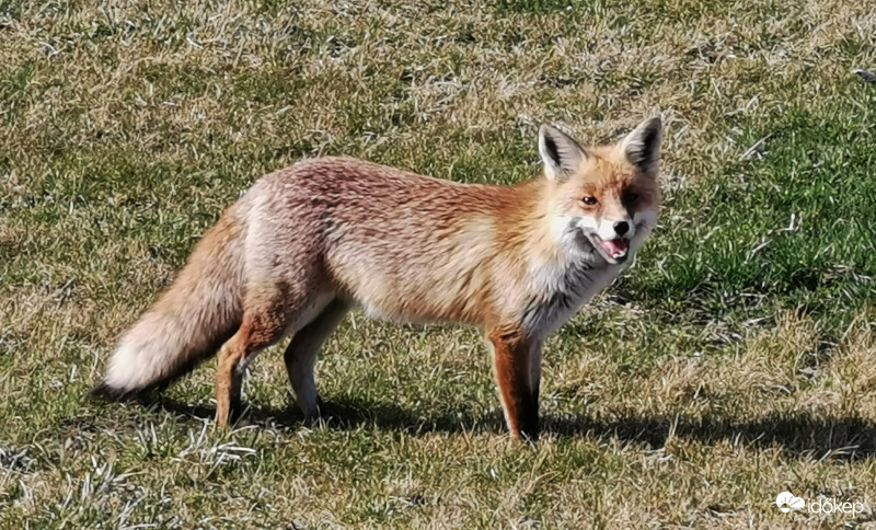 Ma is be jelentkezek.