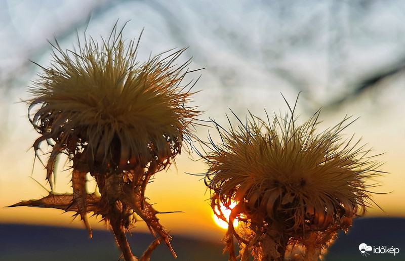 Mai naplemente a Bakonyban