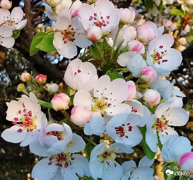 Mindenkinek adom szeretettel aki magányos
