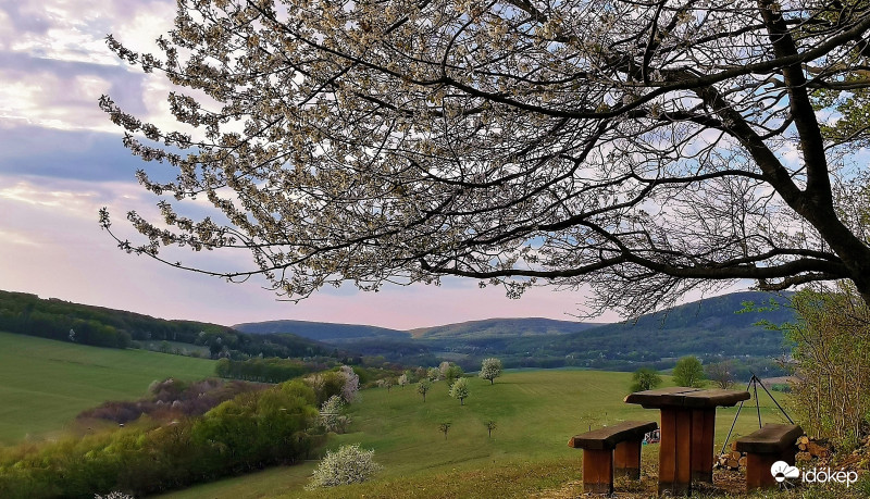 Bakonyi panoráma.