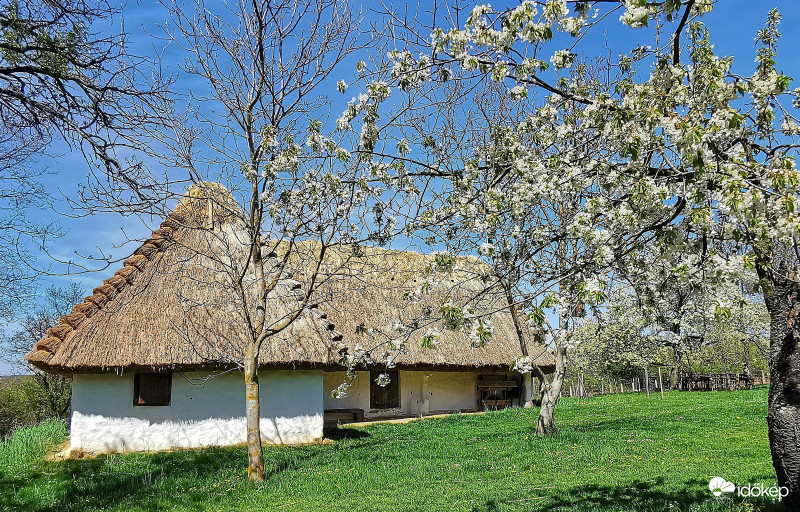 Zsúpfedeles házikó
