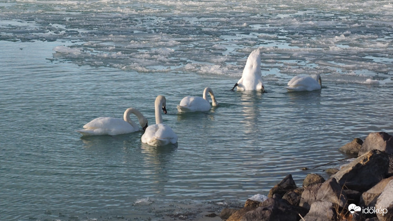 Megnézem mi van ott