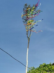 Nagykanizsa