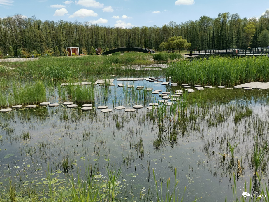 Termáltó a zalakarosi öko parkban