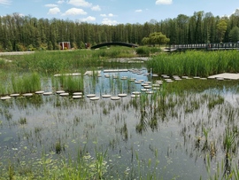 Termáltó a zalakarosi öko parkban