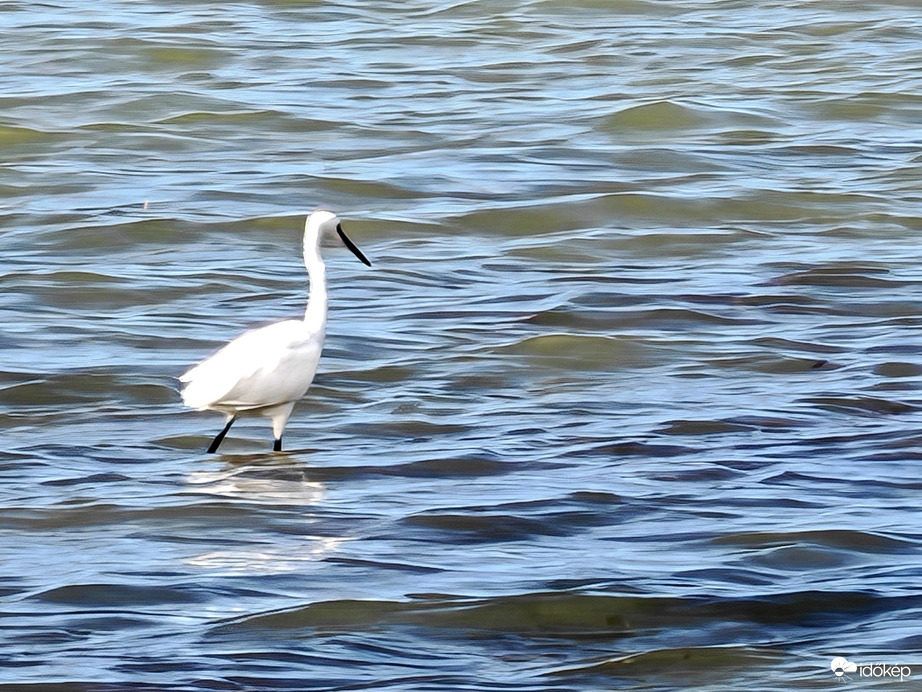 Hát ez tényleg kicsit alacsony vízállás! 
